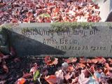 image of grave number 908396